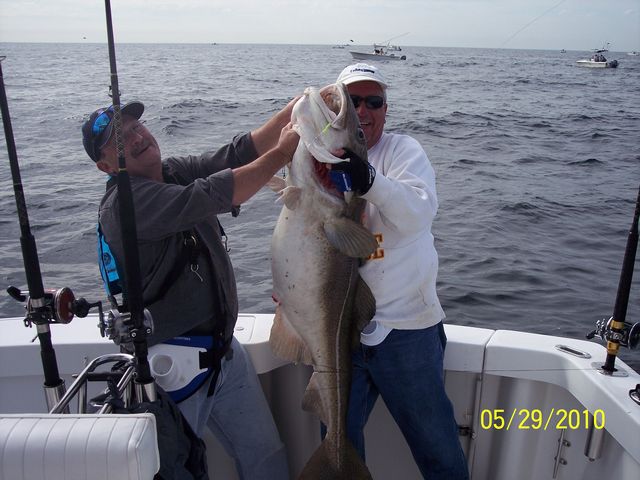 Big Cod